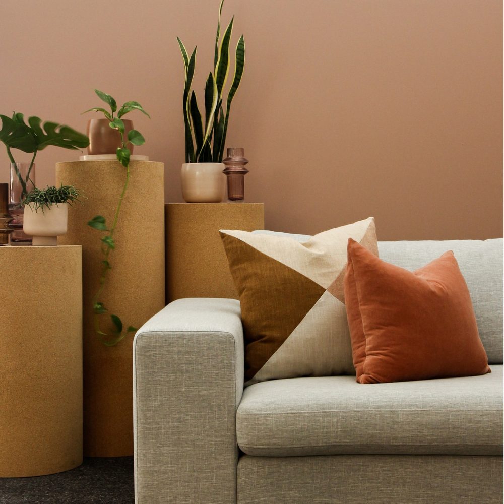 Cozy living room with a sofa and plants